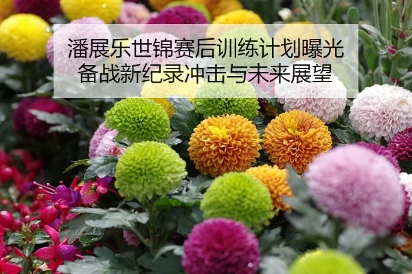 潘展乐世锦赛后训练计划曝光 备战新纪录冲击与未来展望